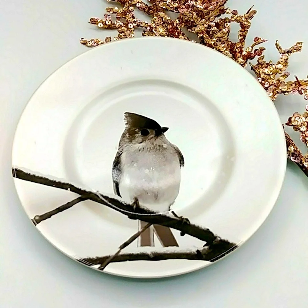 🦉HP! Pier 1 Winter Snowy Tufted Titmouse Bird on a Branch. Salad/ Accent Plate